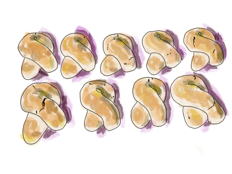 Koulourakia Greek Easter cookies:&nbsp;vegetarian