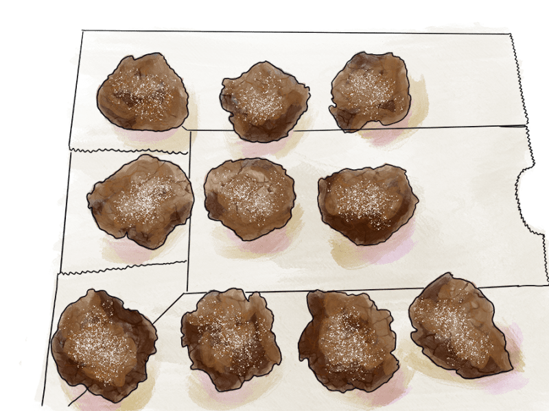 Joe froggers (dark molasses cookies):&nbsp;vegetarian